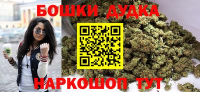 индика Тула