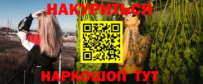 индика Тула