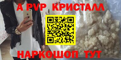 индика Тула