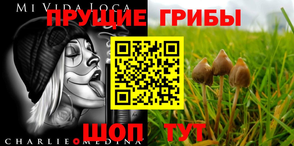Галлюциногенные грибы MAGIC MUSHROOMS Назрань