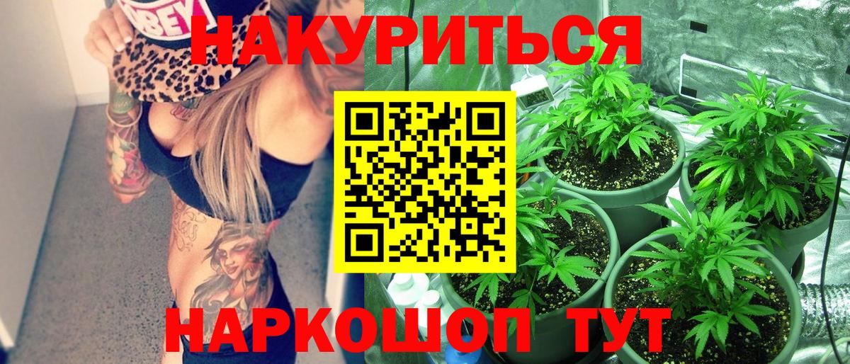 Бошки Шишки ГИДРОПОН Назрань